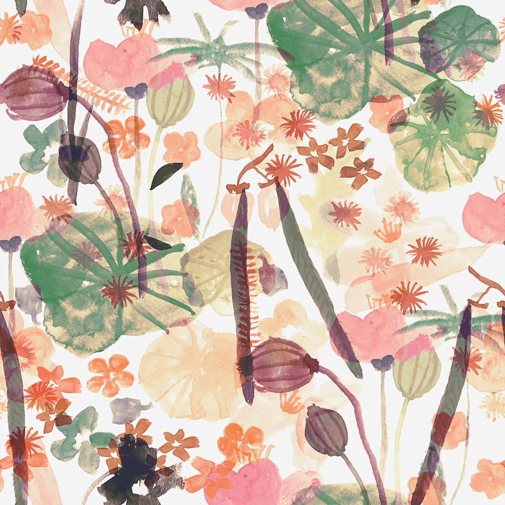 Coastal Spring Coral